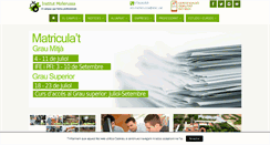 Desktop Screenshot of institutmollerussa.com